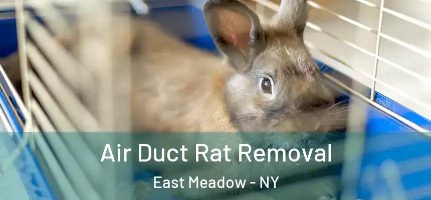  Air Duct Rat Removal East Meadow - NY