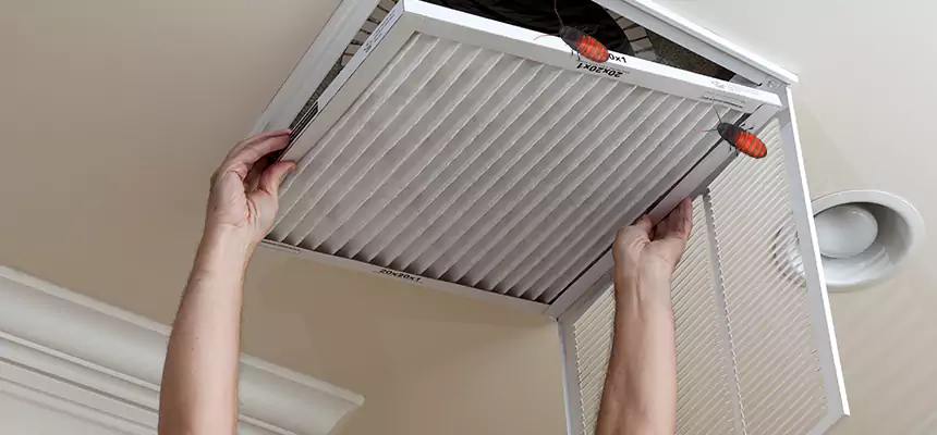 Preventive Cockroach-Proofing for Ducts in East Meadow