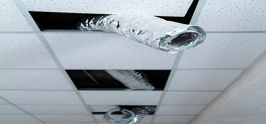 Our Air Duct Pet Hair Removal Services in East Meadow, NY