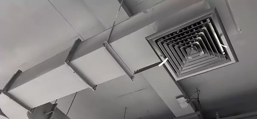 Restorative Allergy Relief Vent Cleaning – Coil, Blower & Housing Detail in East Meadow