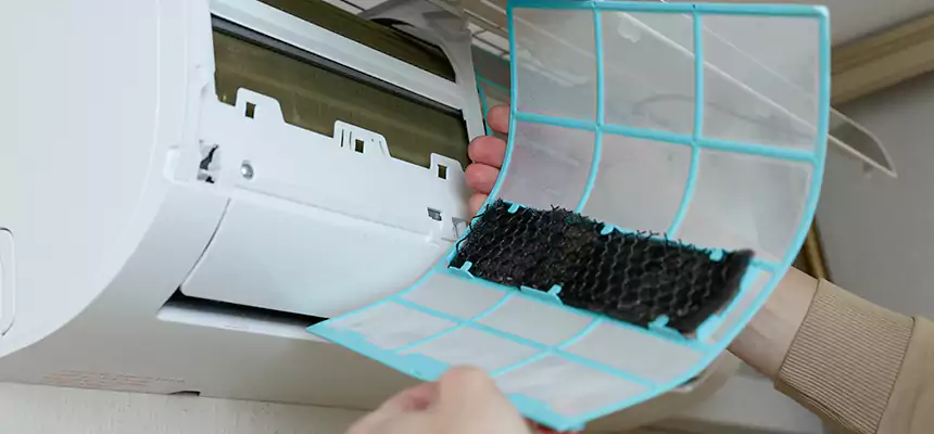 Gentle Ductwork Odor-Control Pet Dander Duct Cleaning in East Meadow, NY