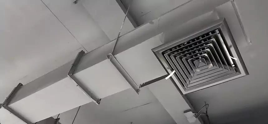 Our Rodent Droppings In Vents Services in East Meadow, NY