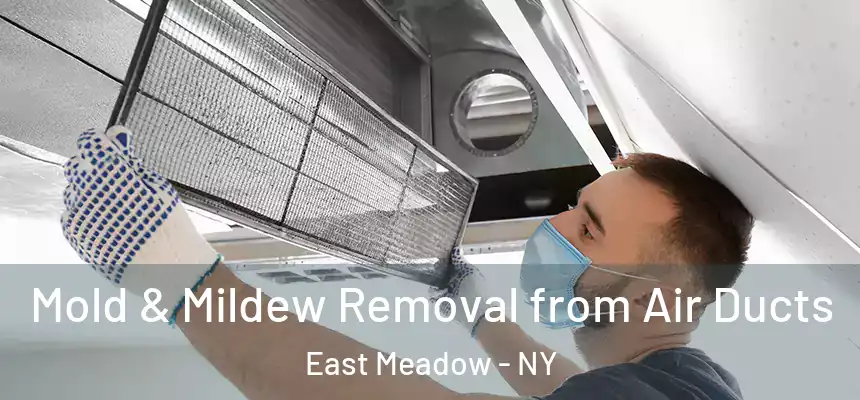  Mold & Mildew Removal from Air Ducts East Meadow - NY