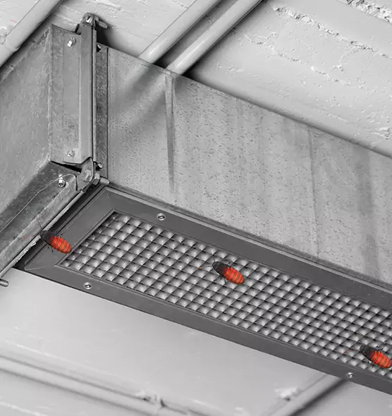 About Air Duct Cockroach Removal in East Meadow, NY