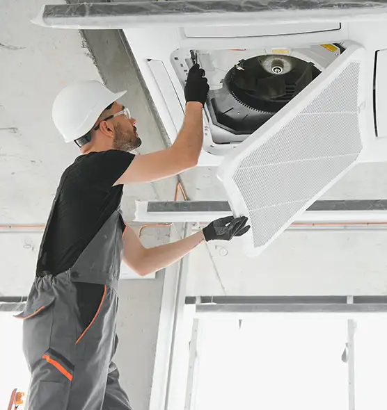 About Air Duct Rodent Removal in East Meadow, NY