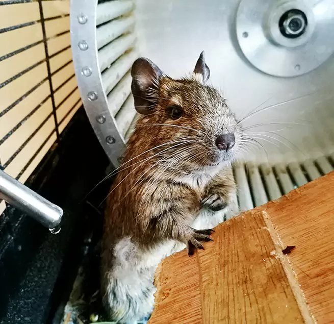 Why Homeowners & Businesses Trust Us East Meadow, NY