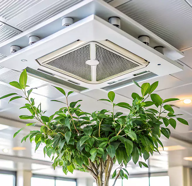 Why Homeowners & Businesses Trust Us in East Meadow, NY?