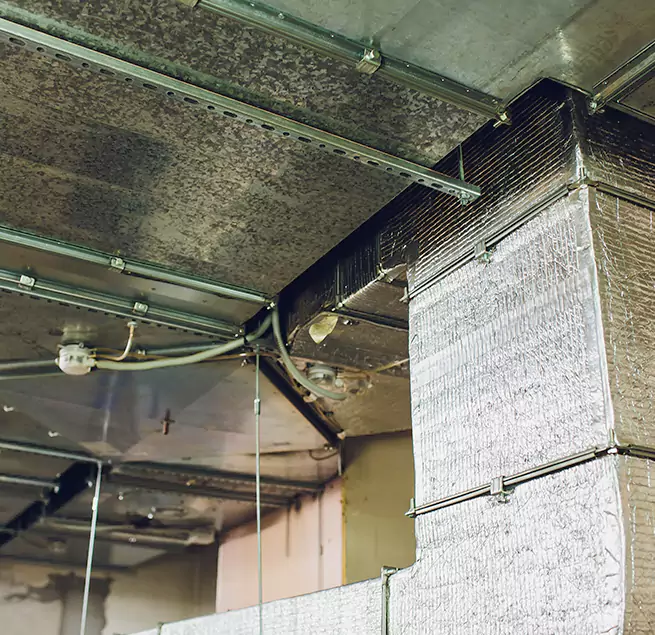 Why Homeowners & Businesses Trust Us in East Meadow, NY?